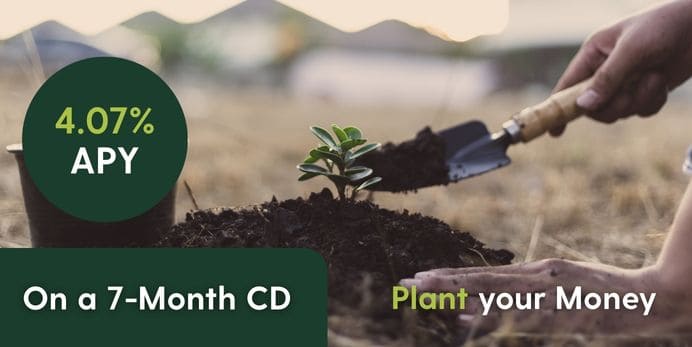 A photo of someone planting a plant