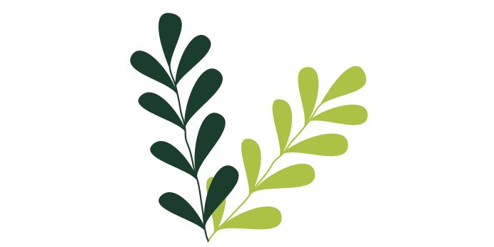 This is a graphic of two vines with leaves.