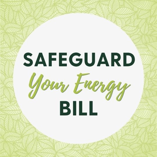 Graphic that reads, "Safeguard Your Energy Bill"