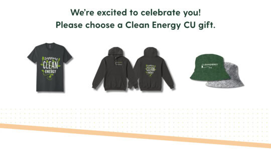 t shirt hoodie and hat graphic